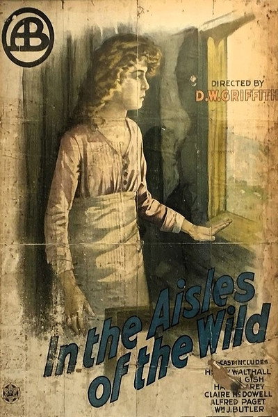 Póster de In the Aisles of the Wild