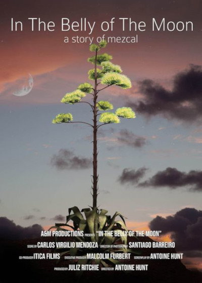 Póster de In the Belly of the Moon