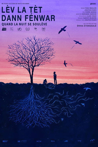Póster de In the Billowing Night