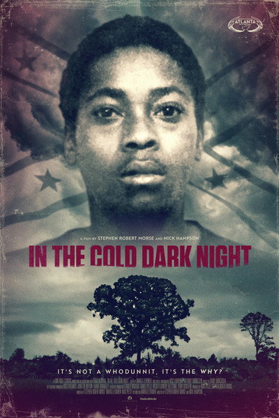 Póster de In the Cold Dark Night