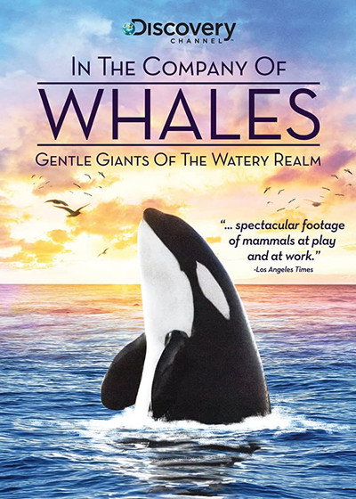 Póster de In the Company of Whales