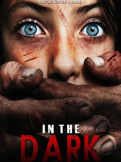 Póster de In the Dark