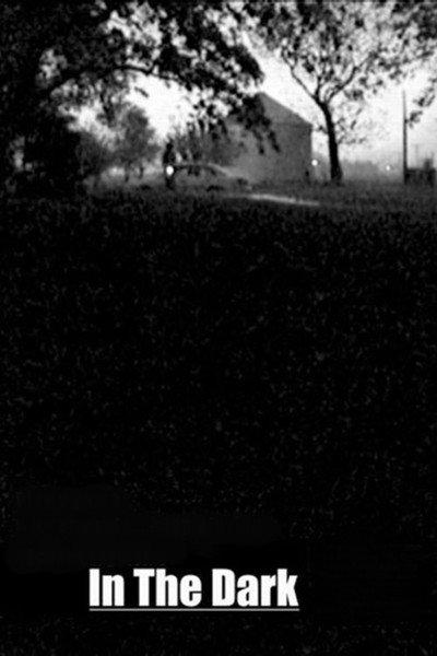 Póster de In the Dark