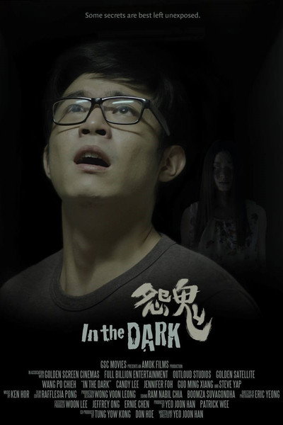 Póster de In the Dark