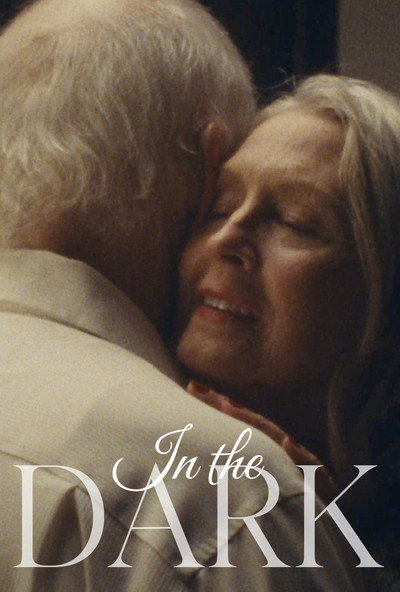 Póster de In the Dark