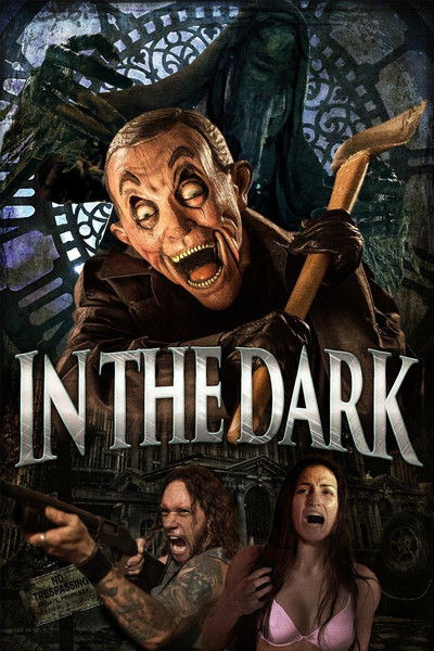 Póster de In the Dark