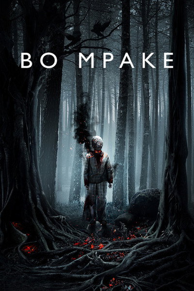 Póster de In the Darkness