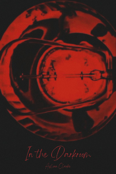 Póster de In the Darkroom