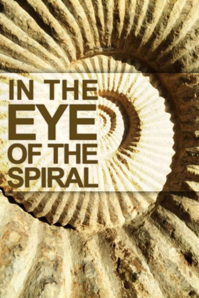 Póster de In the Eye of the Spiral
