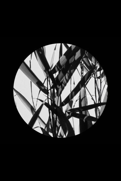 Póster de In the Footsteps of Li Yuan-chia & Delia Derbyshire