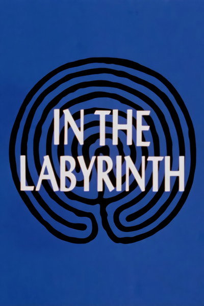Póster de In the Labyrinth