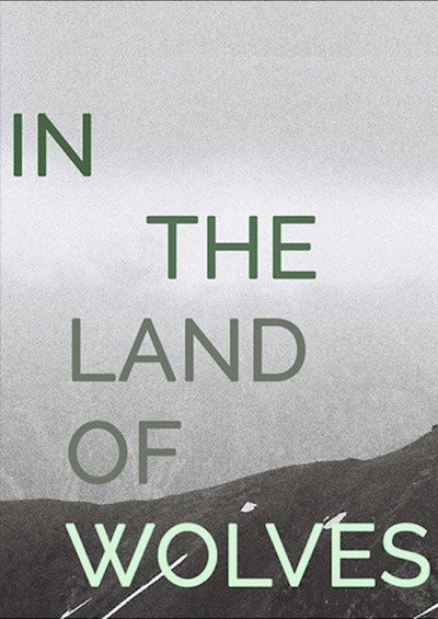 Póster de In the Land of Wolves