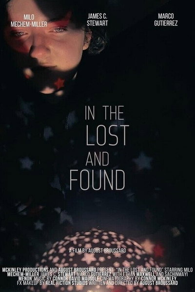 Póster de In the Lost and Found