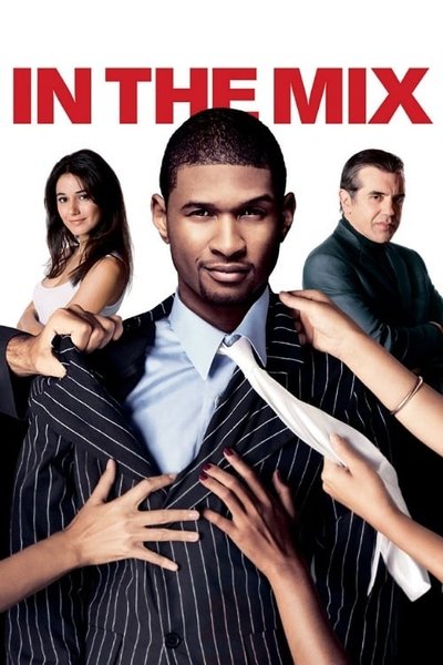 Póster de In the Mix