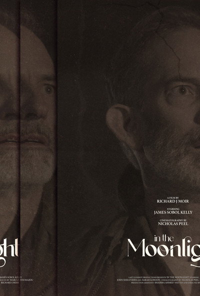Póster de In the Moonlight