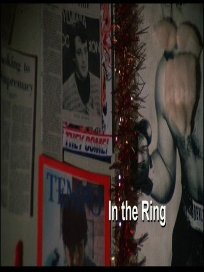 Póster de In the Ring