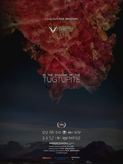 Póster de In the Shadow of the Tugtupite