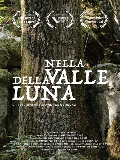 Póster de In the Valley of the Moon