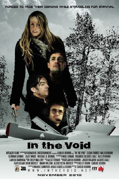 Póster de In the Void