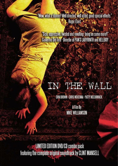 Póster de In the Wall