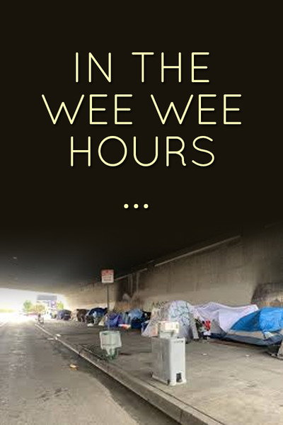 Póster de In the Wee Wee Hours...