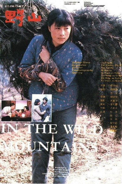 Póster de In the Wild Mountains