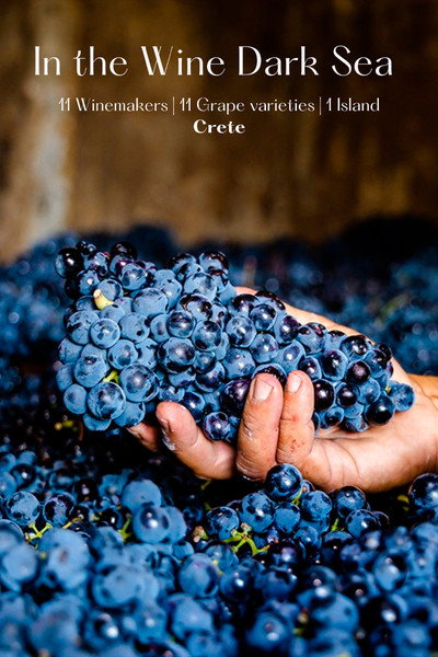 Póster de In the Wine Dark Sea