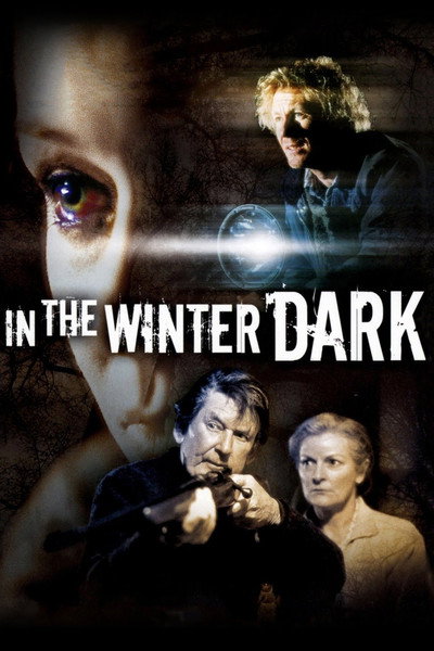 Póster de In the Winter Dark