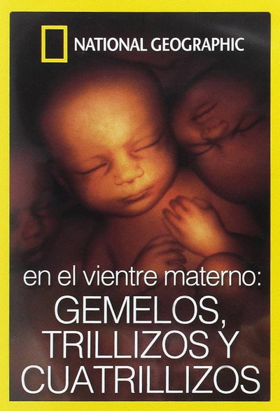 Póster de In the Womb: Multiples