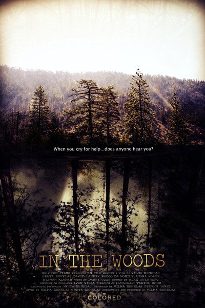 Póster de In the Woods