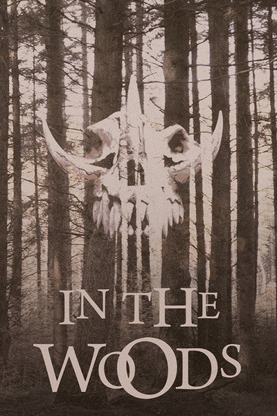 Póster de In the Woods