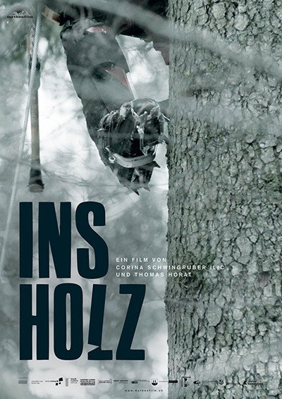 Póster de In the Woods
