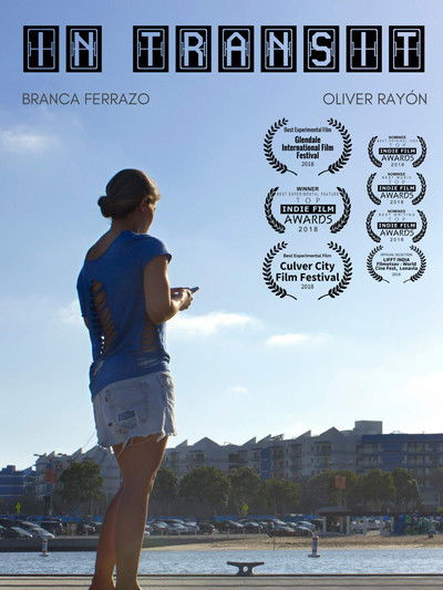 Póster de In Transit