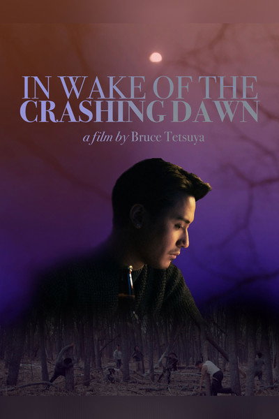 Póster de In Wake of the Crashing Dawn