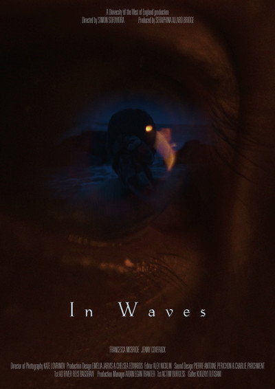 Póster de In Waves