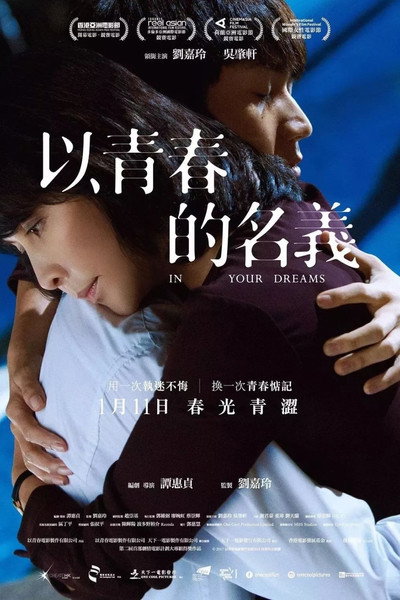 Póster de In Your Dreams