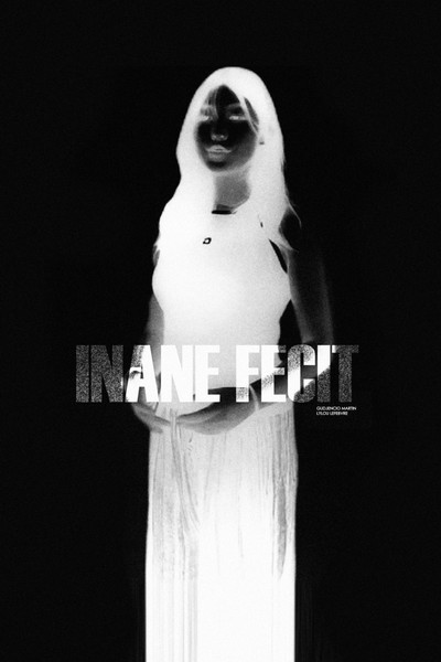Póster de INANE FECIT