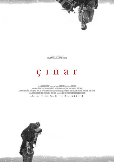 Póster de Çinar