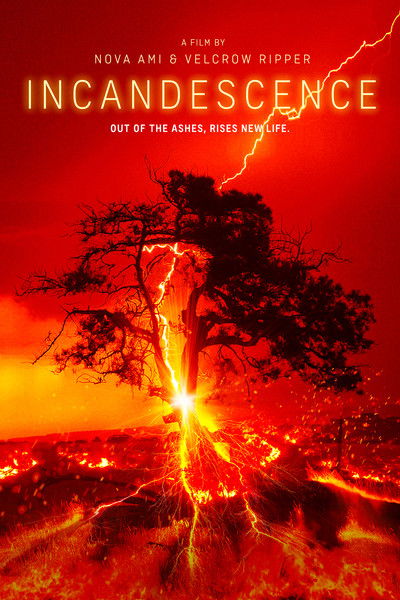 Póster de Incandescence