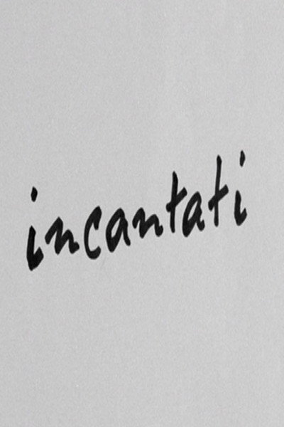 Póster de Incantati