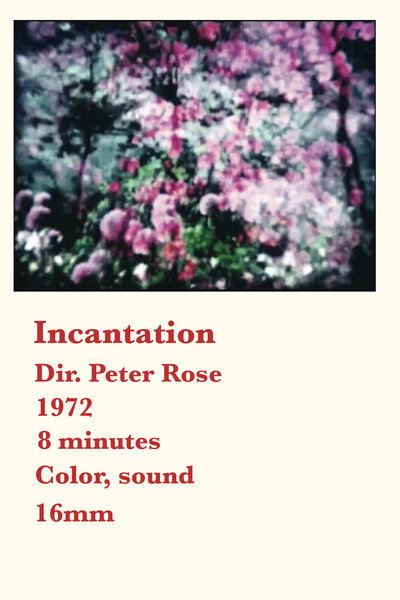 Póster de Incantations