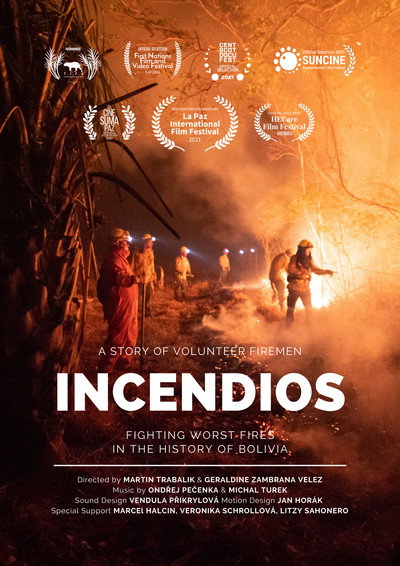 Póster de Incendios