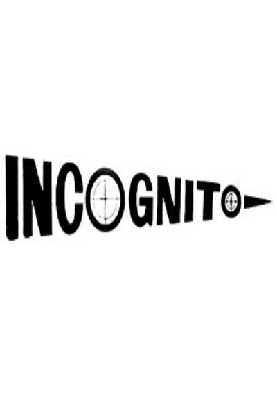 Póster de Incognito