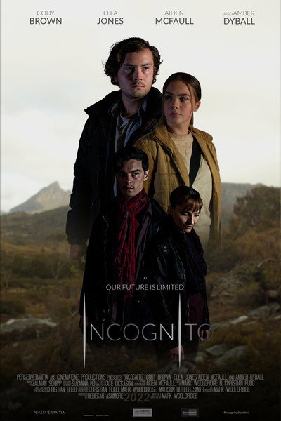 Póster de Incognito
