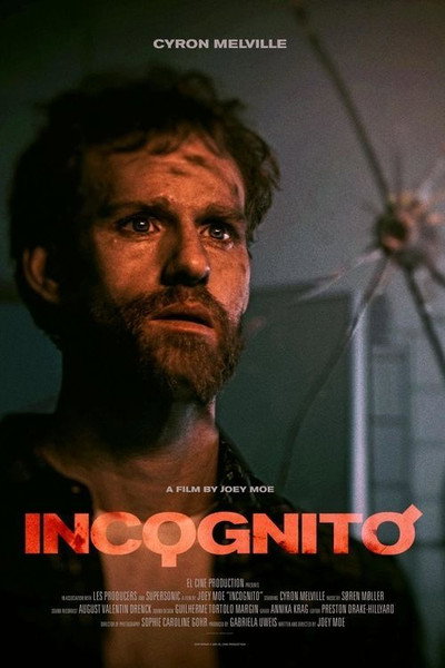 Póster de Incognito