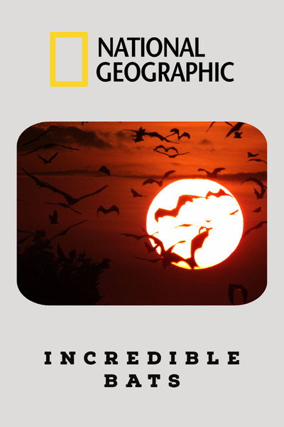 Póster de Incredible Bats