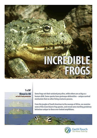 Póster de Incredible Frogs