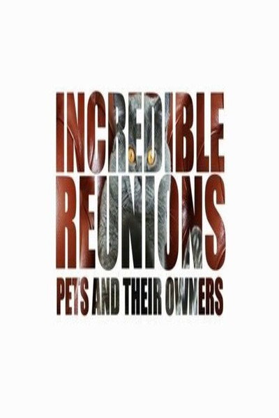 Póster de Incredible Reunions: Pets and their Owners