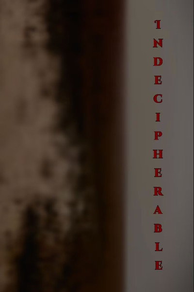 Póster de Indecipherable