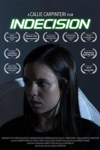 Póster de Indecision